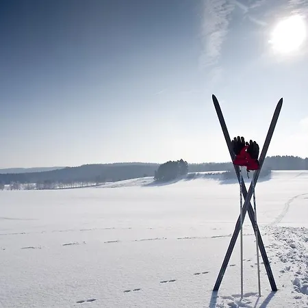 Bergstadens Røros