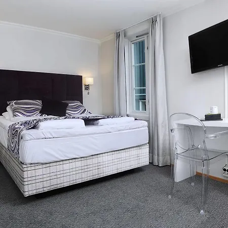 Bergstadens & Hotel 3*